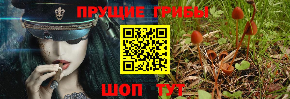 Кушва  Псилоцибиновые грибы MAGIC MUSHROOMS  Вход с VPN  Галлюциногенные грибы прущие грибы 